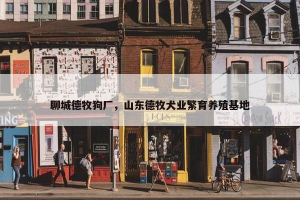 聊城德牧狗厂，山东德牧犬业繁育养殖基地