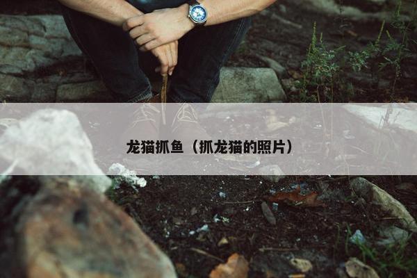 龙猫抓鱼（抓龙猫的照片）