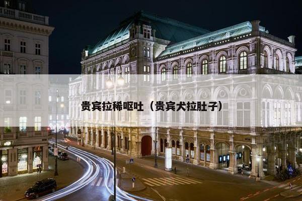 贵宾拉稀呕吐（贵宾犬拉肚子）