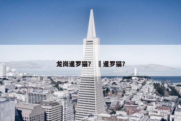 龙岗暹罗猫？  暹罗猫？