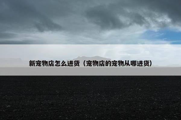 新宠物店怎么进货（宠物店的宠物从哪进货）