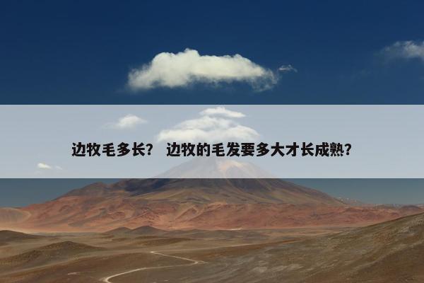 边牧毛多长？ 边牧的毛发要多大才长成熟？