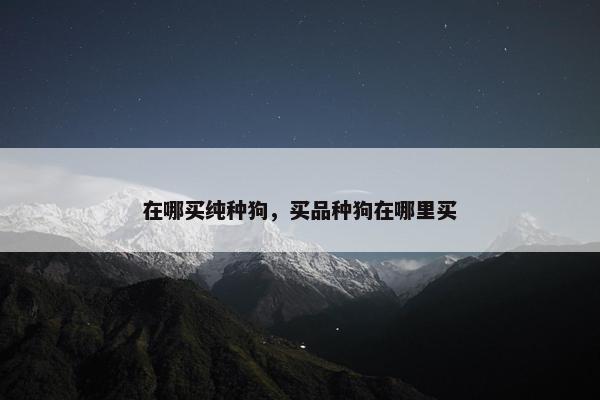 在哪买纯种狗，买品种狗在哪里买