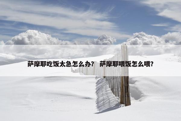 萨摩耶吃饭太急怎么办？ 萨摩耶喂饭怎么喂？