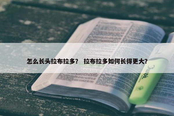 怎么长头拉布拉多？ 拉布拉多如何长得更大？