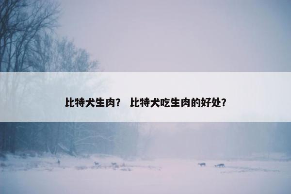 比特犬生肉？ 比特犬吃生肉的好处？