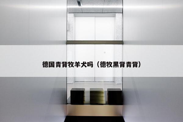 德国青背牧羊犬吗（德牧黑背青背）