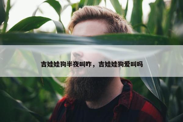 吉娃娃狗半夜叫咋，吉娃娃狗爱叫吗