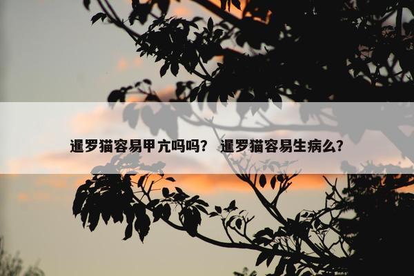 暹罗猫容易甲亢吗吗？ 暹罗猫容易生病么？