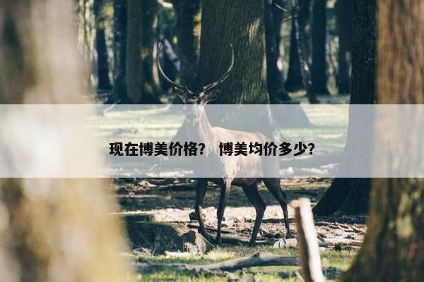现在博美价格？ 博美均价多少？