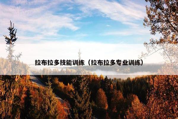 拉布拉多技能训练（拉布拉多专业训练）