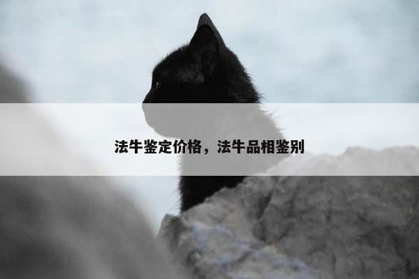 法牛鉴定价格，法牛品相鉴别