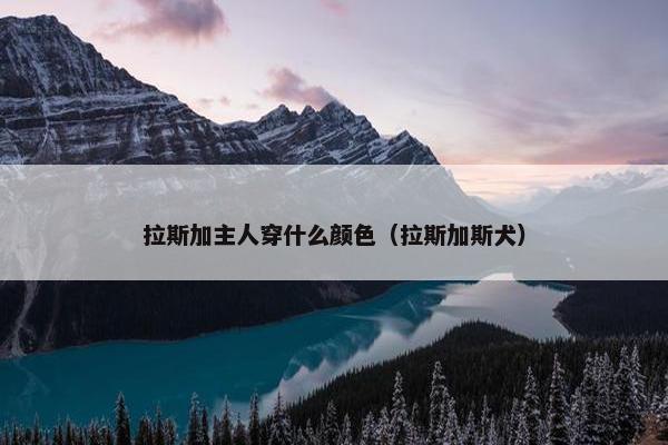 拉斯加主人穿什么颜色（拉斯加斯犬）