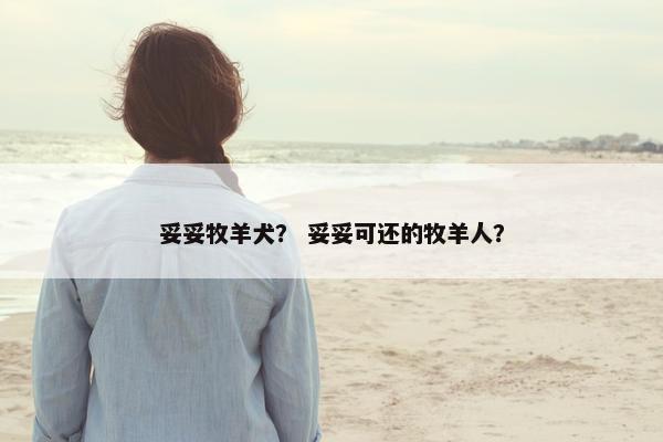 妥妥牧羊犬？ 妥妥可还的牧羊人？