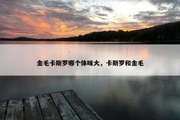 金毛卡斯罗哪个体味大，卡斯罗和金毛