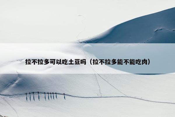 拉不拉多可以吃土豆吗（拉不拉多能不能吃肉）