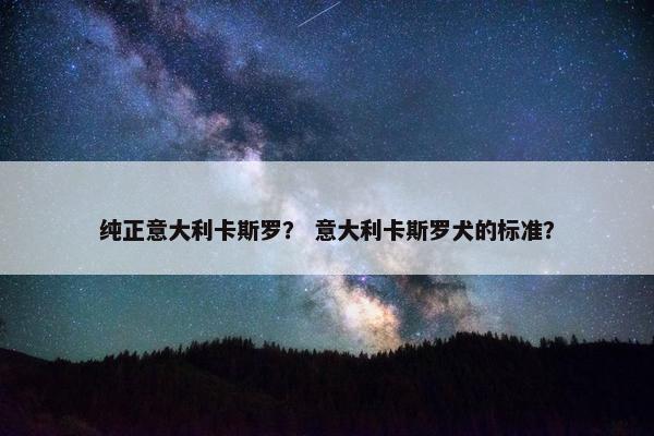 纯正意大利卡斯罗？ 意大利卡斯罗犬的标准？