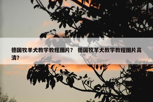德国牧羊犬教学教程图片？ 德国牧羊犬教学教程图片高清？