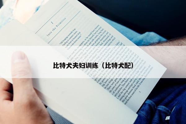 比特犬夫妇训练（比特犬配）