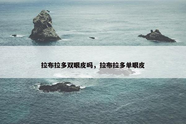拉布拉多双眼皮吗，拉布拉多单眼皮