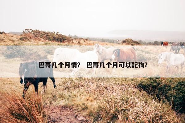 巴哥几个月情？ 巴哥几个月可以配狗？