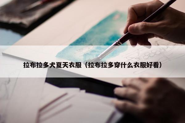 拉布拉多犬夏天衣服（拉布拉多穿什么衣服好看）