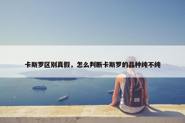 卡斯罗区别真假，怎么判断卡斯罗的品种纯不纯