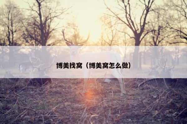 博美找窝（博美窝怎么做）