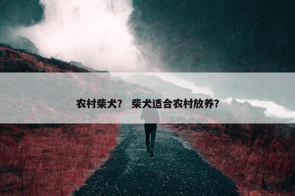 农村柴犬？ 柴犬适合农村放养？