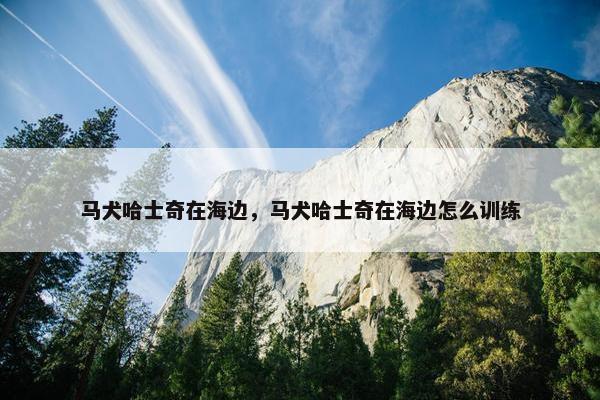 马犬哈士奇在海边，马犬哈士奇在海边怎么训练