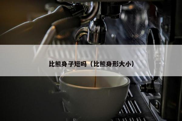 比熊身子短吗（比熊身形大小）