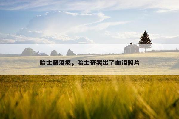 哈士奇泪痕，哈士奇哭出了血泪照片