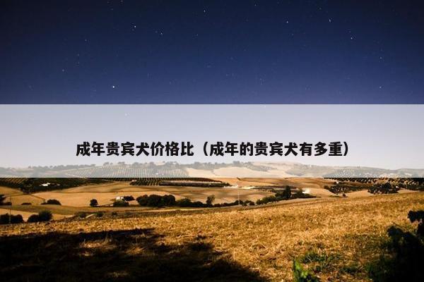 成年贵宾犬价格比（成年的贵宾犬有多重）