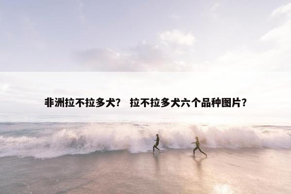 非洲拉不拉多犬？ 拉不拉多犬六个品种图片？