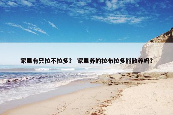 家里有只拉不拉多？ 家里养的拉布拉多能散养吗？