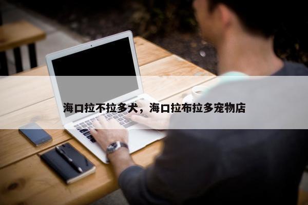 海口拉不拉多犬，海口拉布拉多宠物店