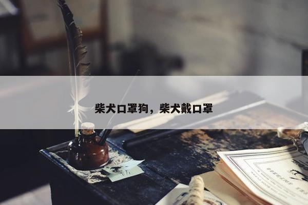 柴犬口罩狗，柴犬戴口罩