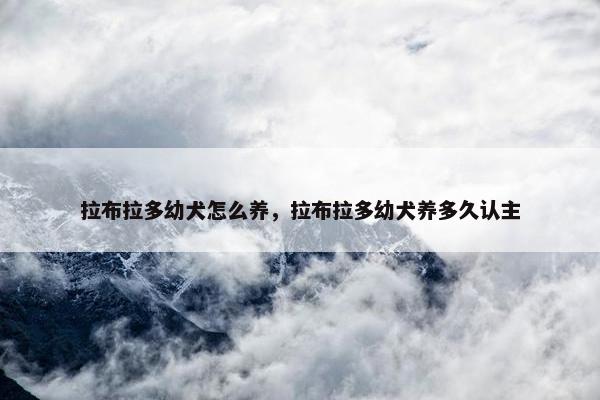 拉布拉多幼犬怎么养，拉布拉多幼犬养多久认主