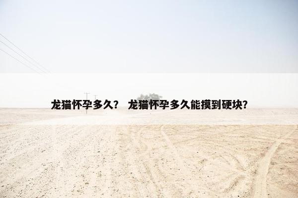 龙猫怀孕多久？ 龙猫怀孕多久能摸到硬块？