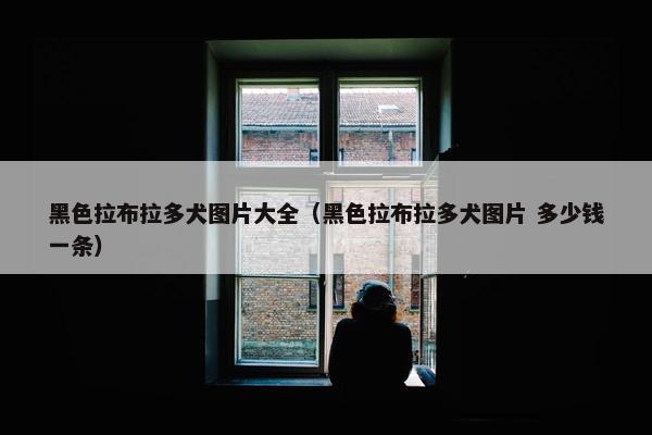 黑色拉布拉多犬图片大全（黑色拉布拉多犬图片 多少钱一条）