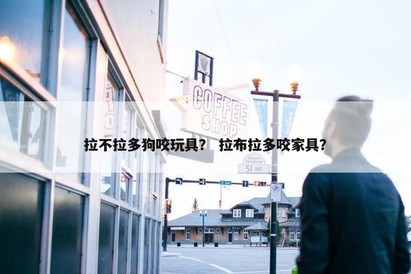 拉不拉多狗咬玩具？ 拉布拉多咬家具？