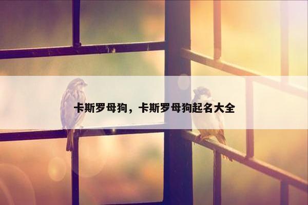 卡斯罗母狗，卡斯罗母狗起名大全