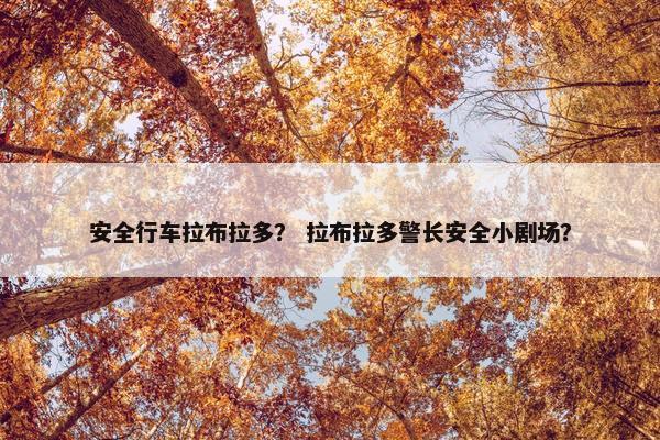 安全行车拉布拉多？ 拉布拉多警长安全小剧场？