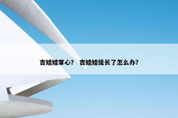 吉娃娃掌心？ 吉娃娃徒长了怎么办？