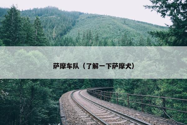 萨摩车队（了解一下萨摩犬）