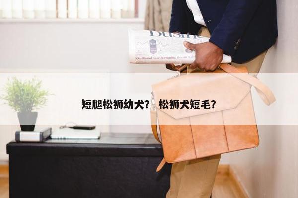 短腿松狮幼犬？ 松狮犬短毛？