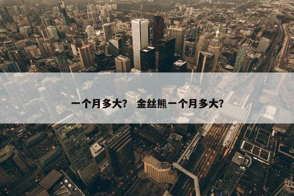 一个月多大？ 金丝熊一个月多大？