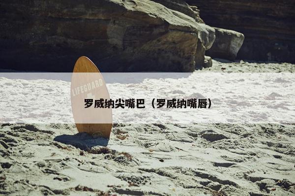 罗威纳尖嘴巴（罗威纳嘴唇）