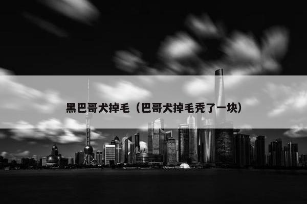 黑巴哥犬掉毛（巴哥犬掉毛秃了一块）