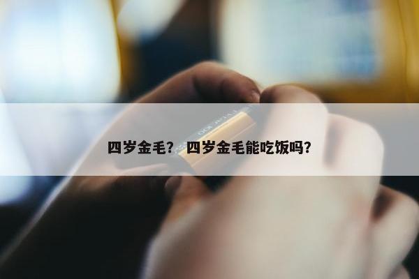 四岁金毛？ 四岁金毛能吃饭吗？